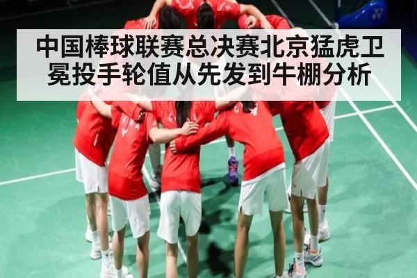 中国棒球联赛总决赛北京猛虎卫冕投手轮值从先发到牛棚分析